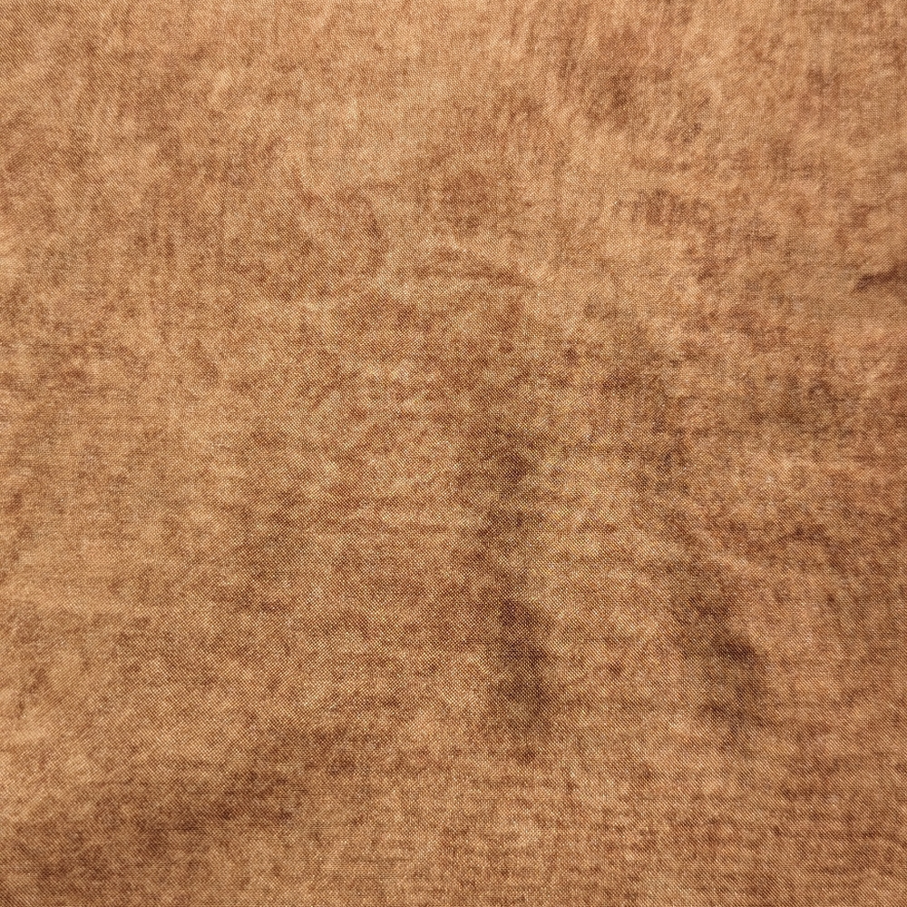 (C06) Sheer Gold/brown fabric